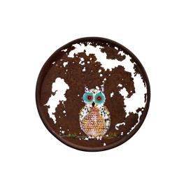 the world map with owl