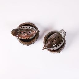 Lighting : Bird &  Nest Sculpture