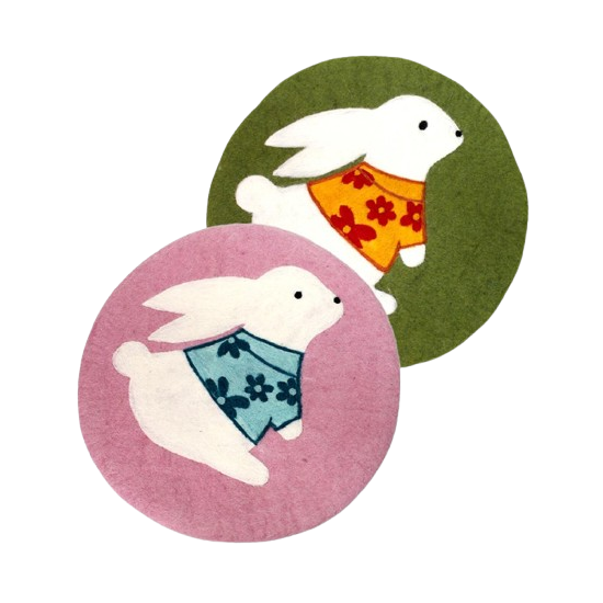 two white rabbits in colorful shirts