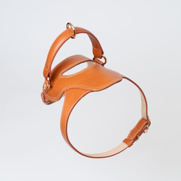 [KANDOG] Toscana harness