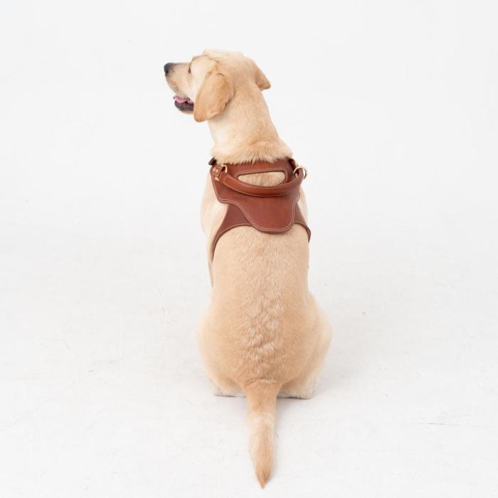 [KANDOG] Toscana harness