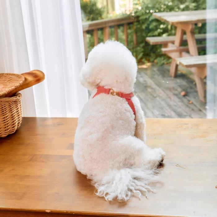[KANDOG] Trevi harness
