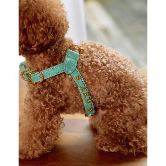 [KANDOG] Trevi harness