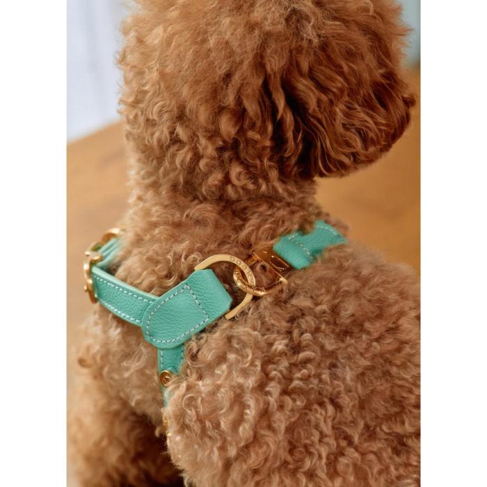 [KANDOG] Trevi harness