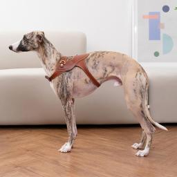 [KANDOG] Toscana harness