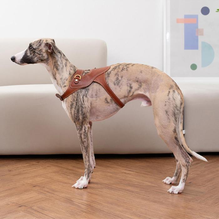 [KANDOG] Toscana harness