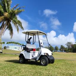 sunvolt, ECO Golf cart,Korea origin golf cart, electric golf cart,off road golf cart
battery, Korea, samsung, LG, Rear reverse seat