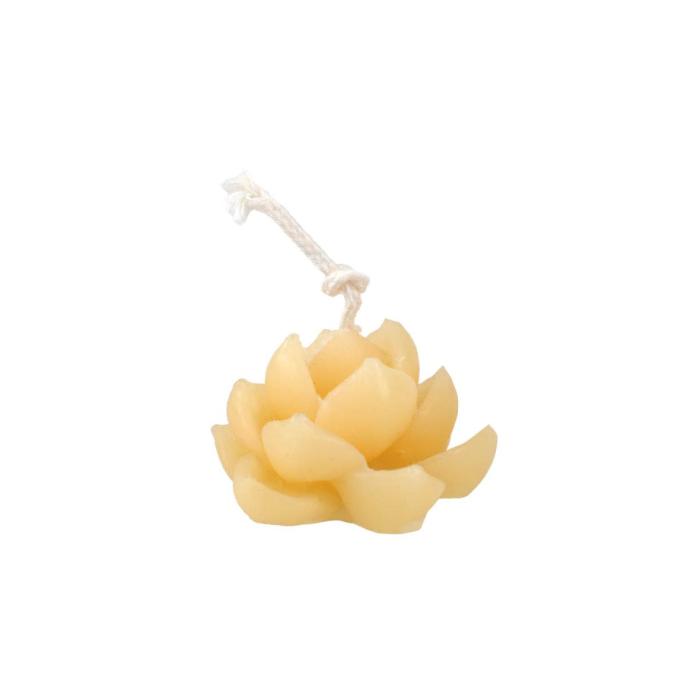 Mini lotus flower