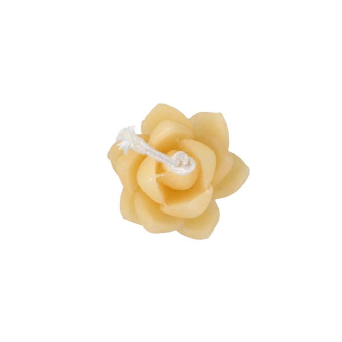 Mini lotus flower