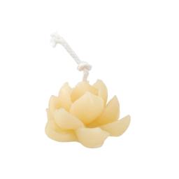 Mini lotus flower