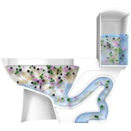 Electrolyzed water kills 99.999% of toilet bacteria