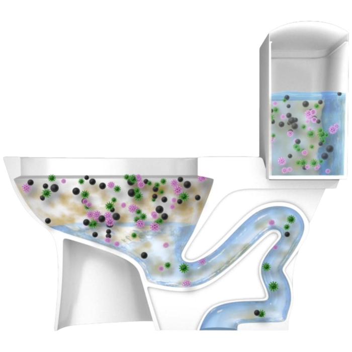 Electrolyzed water kills 99.999% of toilet bacteria