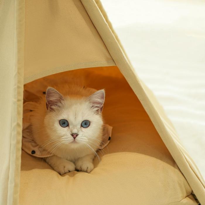 Thickened fabric can protect against the sun when camping and provide shade for pets.The bottom cushion is filled with high-elastic PP cotton, which is breathable, soft and comfortable.