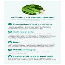 Companion Animal Skin Irritation Treatment