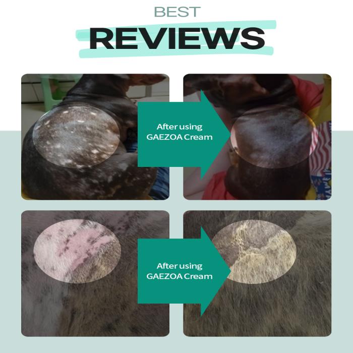 Companion Animal Skin Irritation Treatment