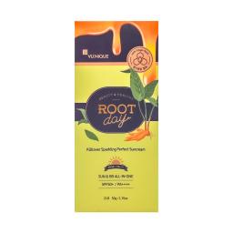 Root Day, a box of organic turmeric root powder