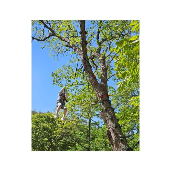 Monkey Climbing