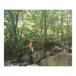 a simple zip line