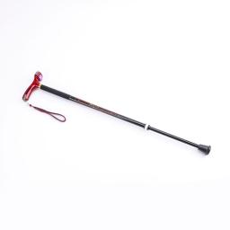 BINATTI Light Cane : carbon walking stick (mint, wine color)