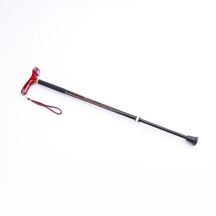 BINATTI Light Cane : carbon walking stick (mint, wine color)