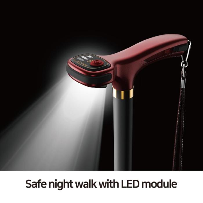 BINATTI Light Cane : carbon walking stick (mint, wine color)
