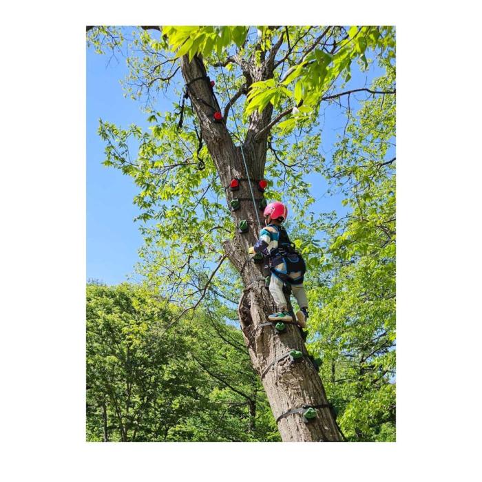 Monkey Climbing