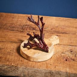 Antler Ganoderma lucidum Extract 6 box (30ea 50 ml) K-FOOD