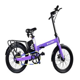 20 inch foldable electric bike(PAS Type)