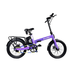20 inch foldable electric bike(PAS Type)