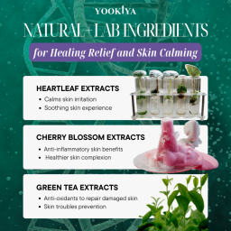 Yookiya Heartleaf Aurora Sheet Mask