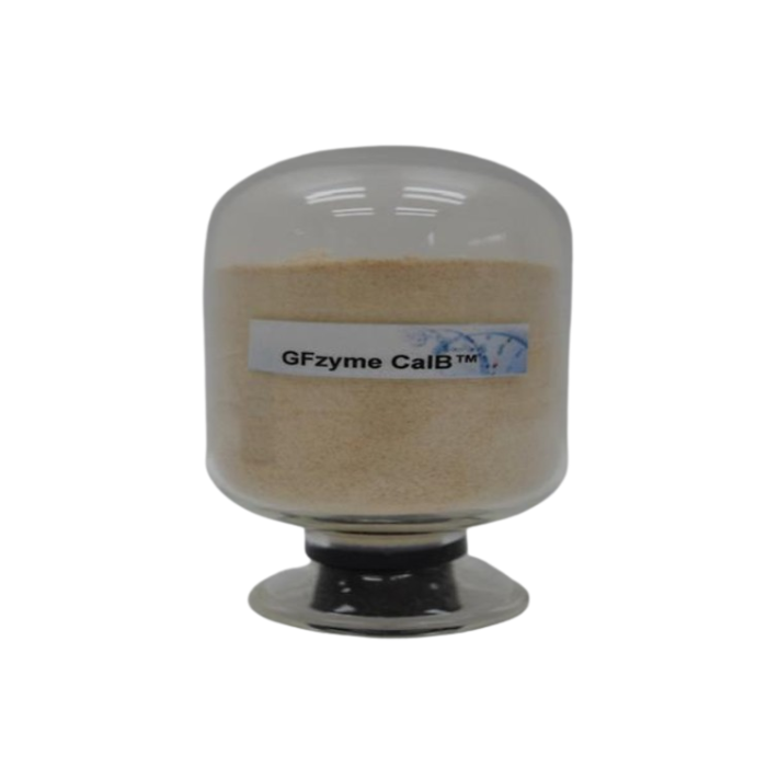 beta-galactosidase enzyme for galacto-oligosaccharides production (bio-conversion)