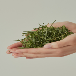 Tea Tree Complex helps restore clear, calm skin.