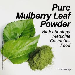 Pure Mulberry Leaf Powder