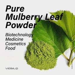 Pure Mulberry Leaf Powder