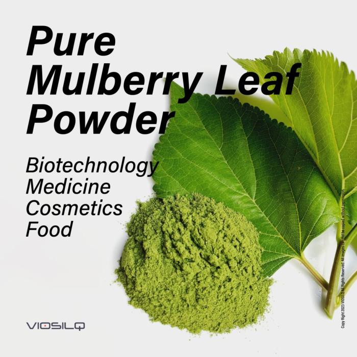 Pure Mulberry Leaf Powder
