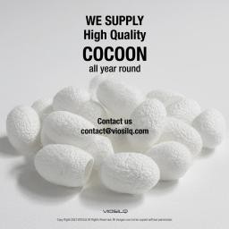 Cocoon
