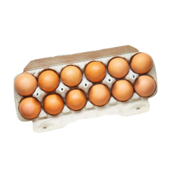 Egg