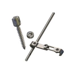 Pedicle Screw