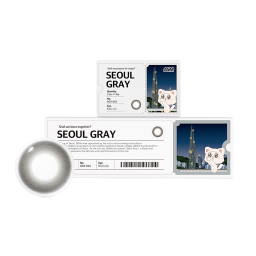 SEOUL Gray 1Day / 10pcs
