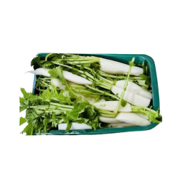 Box-packaged altari radish, fully peeled, cut, and washed.