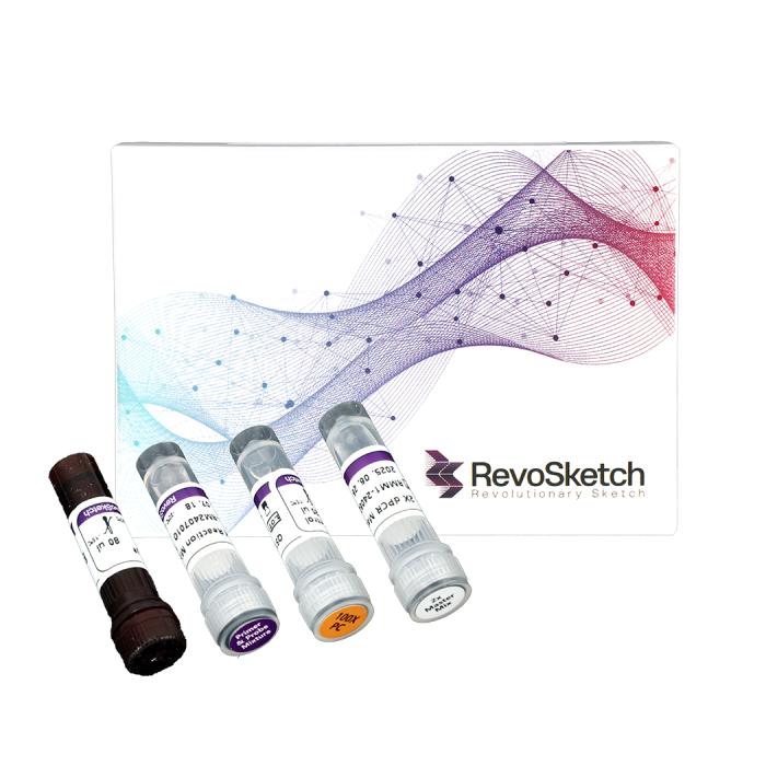 the new RevoSketch