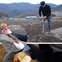 Direct production, direct manufacturing, direct sales