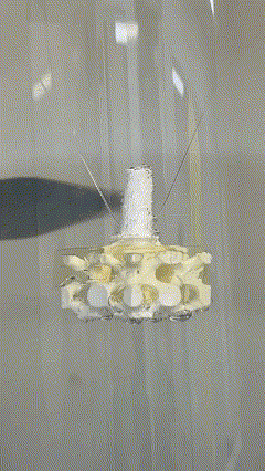 This video shows the mold being removed over a period of 12 hours, leaving behind a complex-shaped ceramic product after complete dissolution.