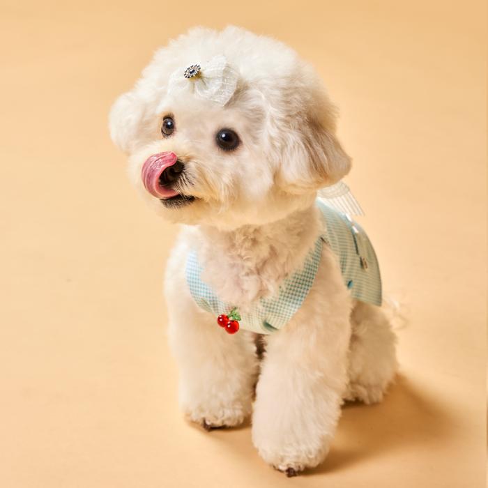 This is a very bright and pretty check pattern puppy fashion shoulder strap dress.