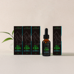 NIVEUS CBG + Omega-3 Pet Hemp Oil Nutritional Supplement