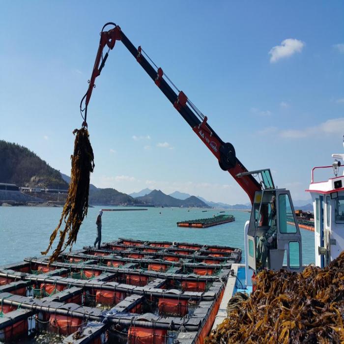 A picture of a live abalone farm. [Picture of feeding abalone with a machine]