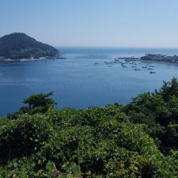 A picture of the clean Wando sea