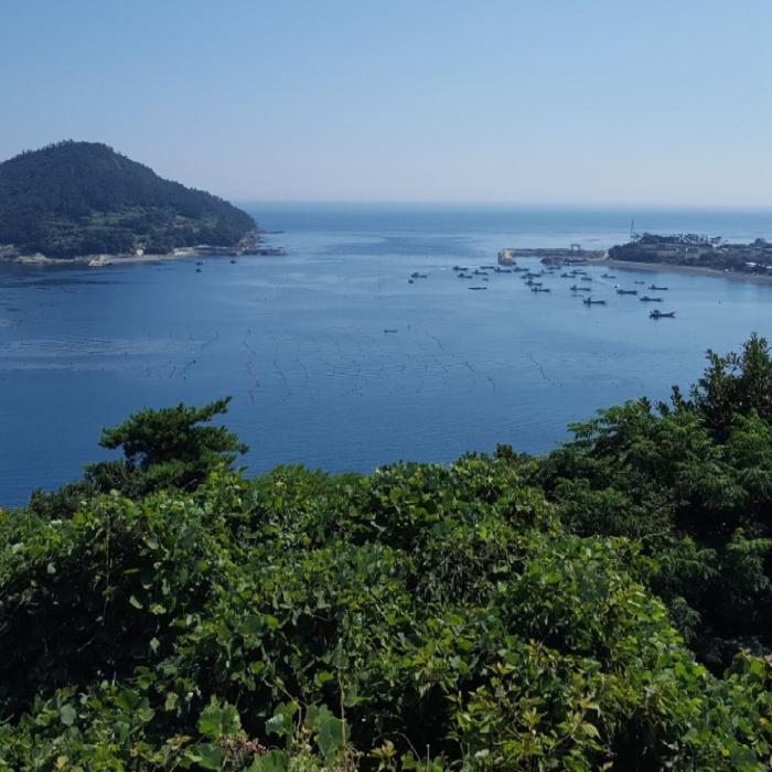 A picture of the clean Wando sea