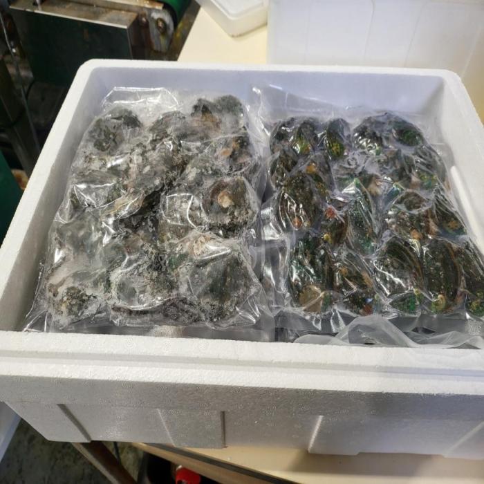A picture of abalone wrapped in 1kg unit [10kg box packaging]