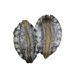 Let me introduce you to the seafood abalone that represents Korea. As announced by NASA, it is the best area for seaweed to grow.
Active abalone grown in excellent conditions is delicious and has jumped into energy recovery.